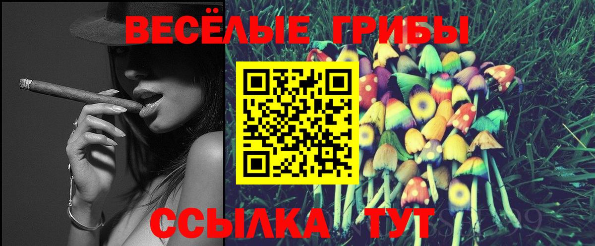 Александров  Псилоцибиновые грибы ЛСД  Псилоцибиновые грибы ЛСД  Вход с VPN 